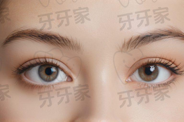 标点冒险家