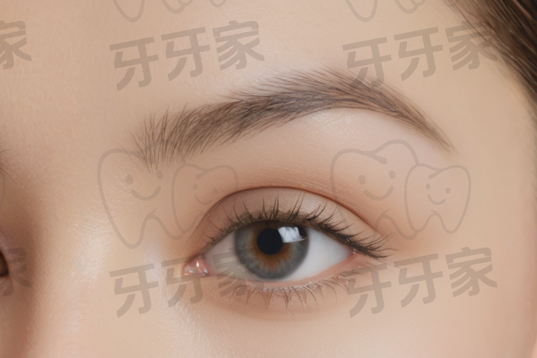 篇章魔法师