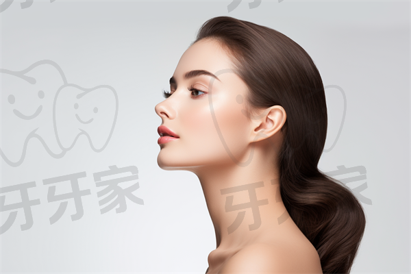 语法小精灵